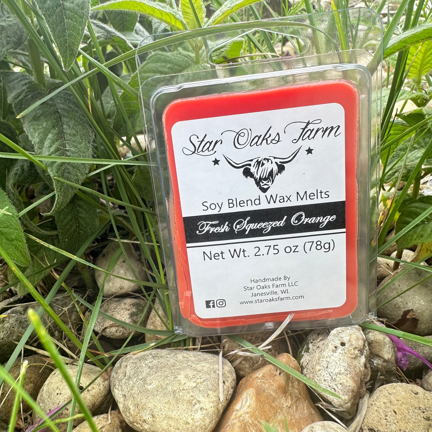Fresh Squeezed Orange Wax Melts
