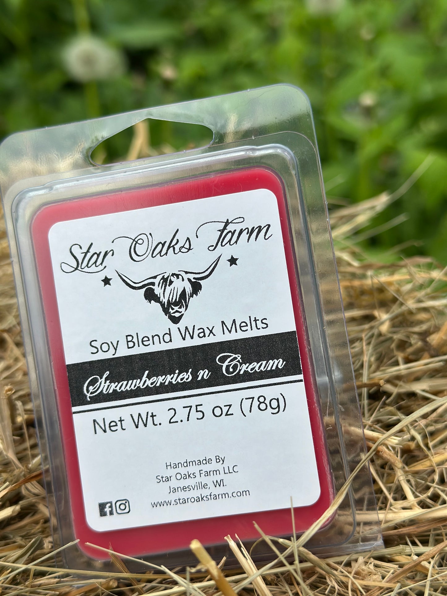 Strawberries N Cream Wax Melts