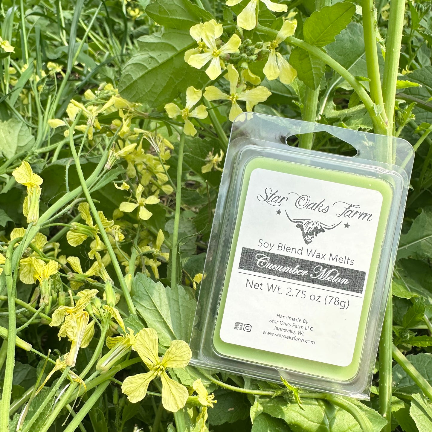 Cucumber Melon Wax Melts