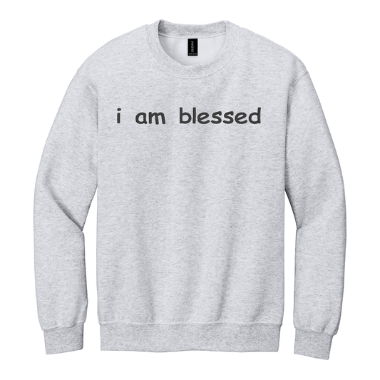 I Am Blessed Sweatshirt Embroidered ADULT Hoodie / Crewneck Sweatshirt Unisex Affirmation Positive Inspirational Gift