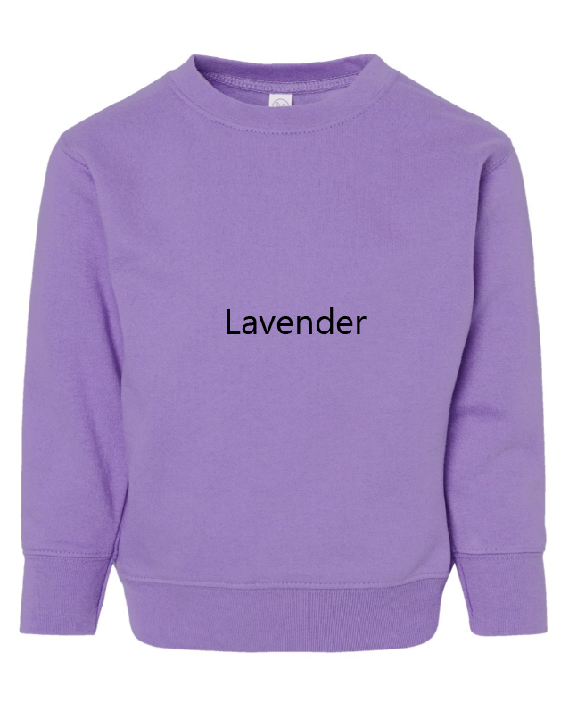 Bluey Embroidered TODDLER Unisex Crewneck Sweatshirt Dog Cartoon