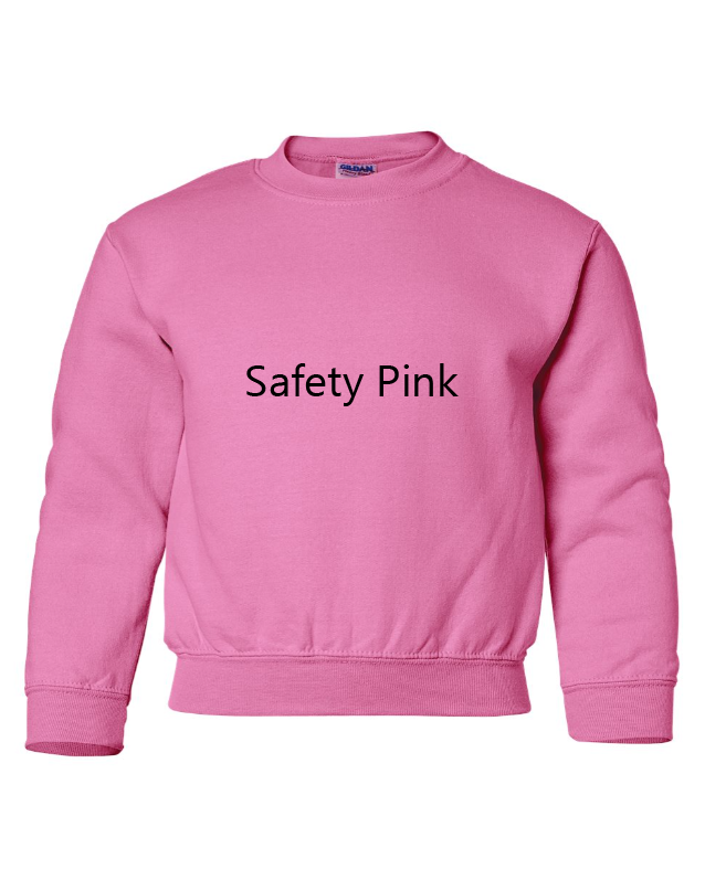 Harley Davidson Embroidered YOUTH Sweatshirt Kids Boy Girl Unisex Crewneck Biker Script Pink Thread