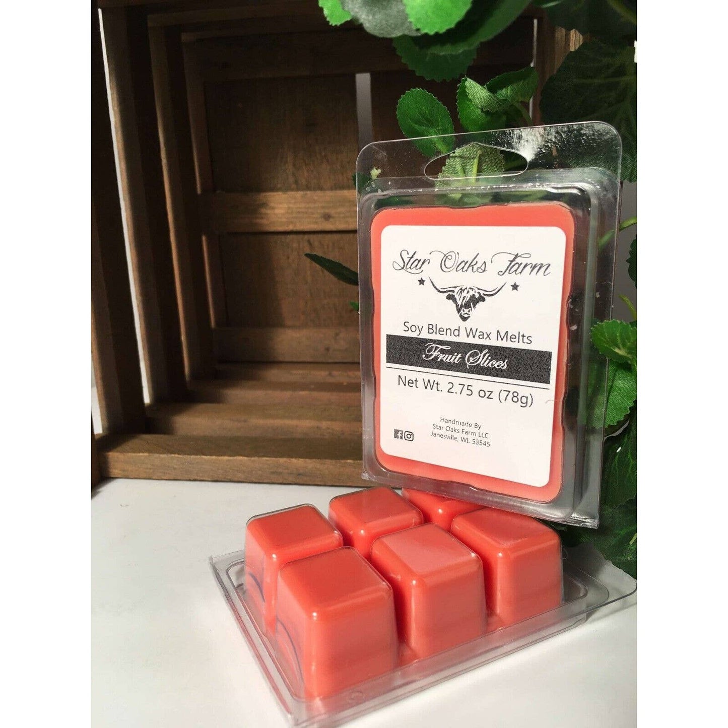 Fruit Slices Wax Melts