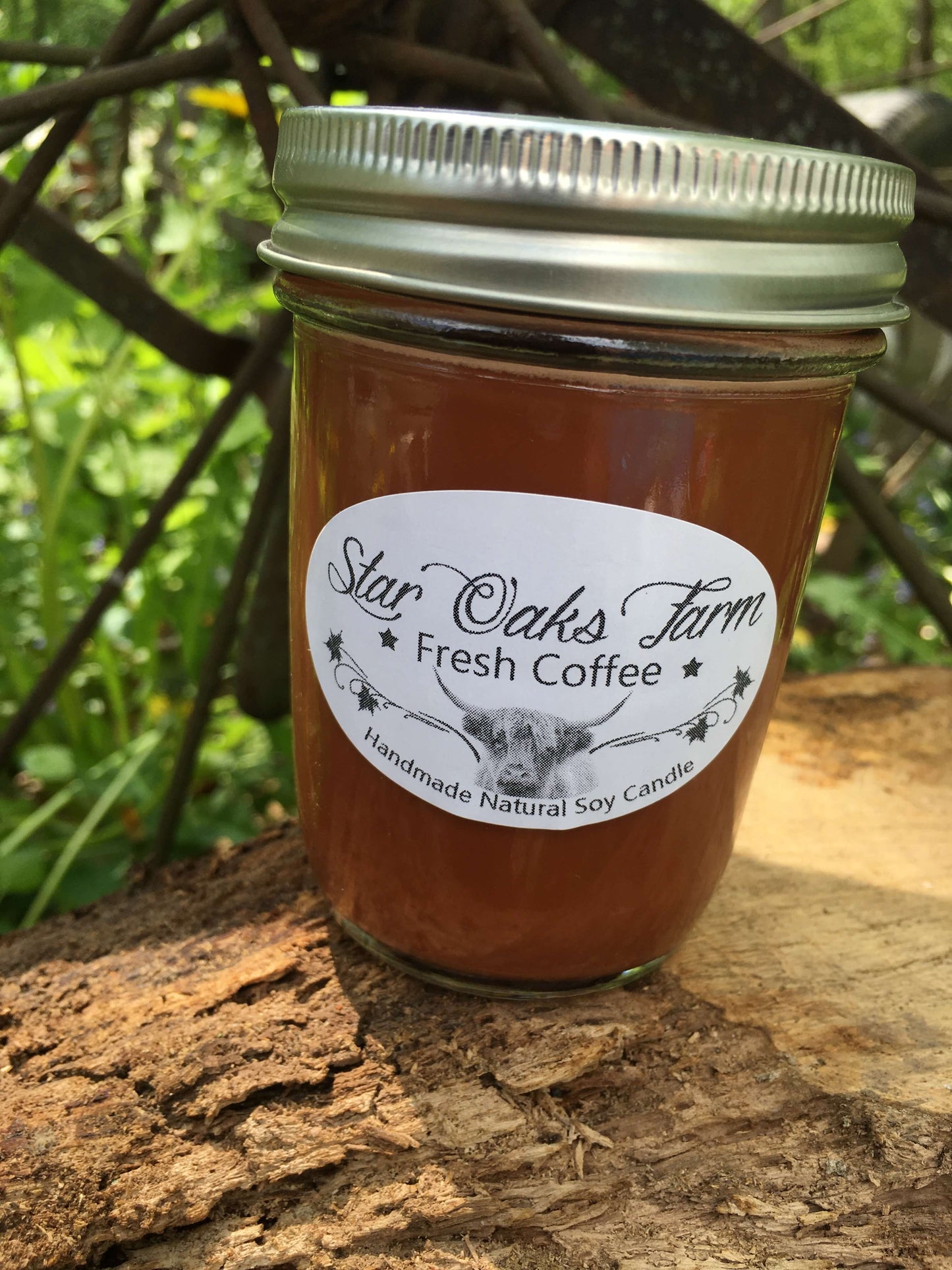 Fresh Coffee Soy Candle