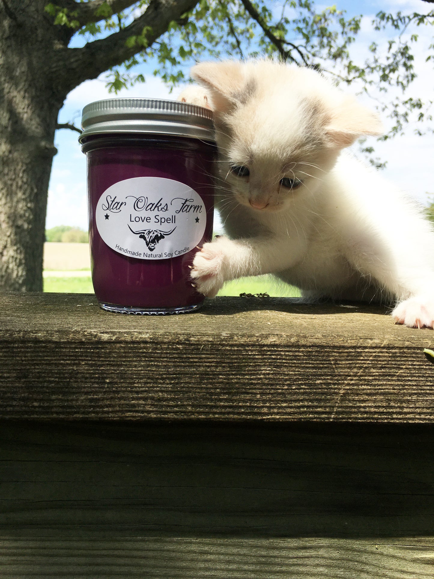 Love Spell Soy Candle
