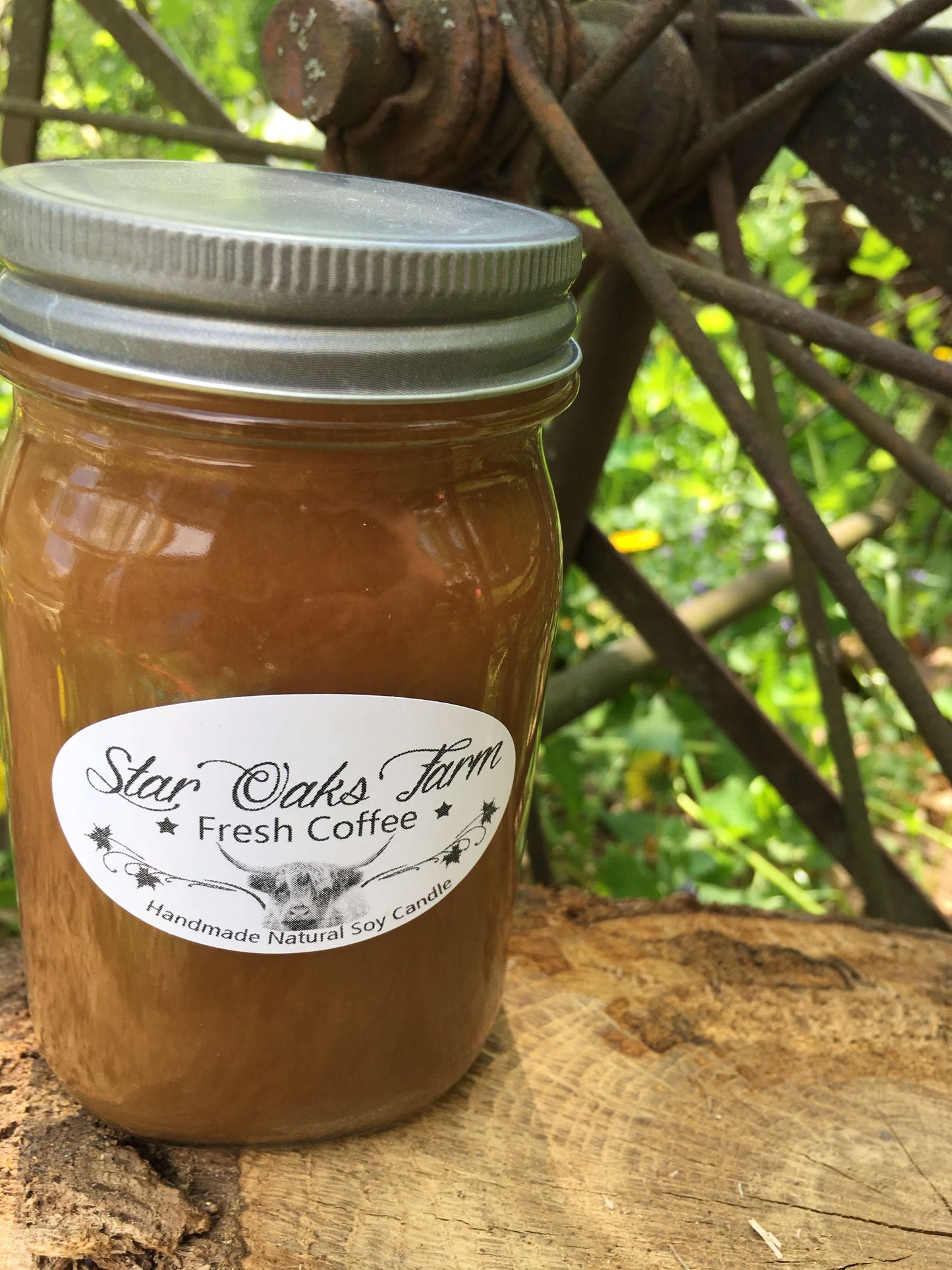 Fresh Coffee Soy Candle