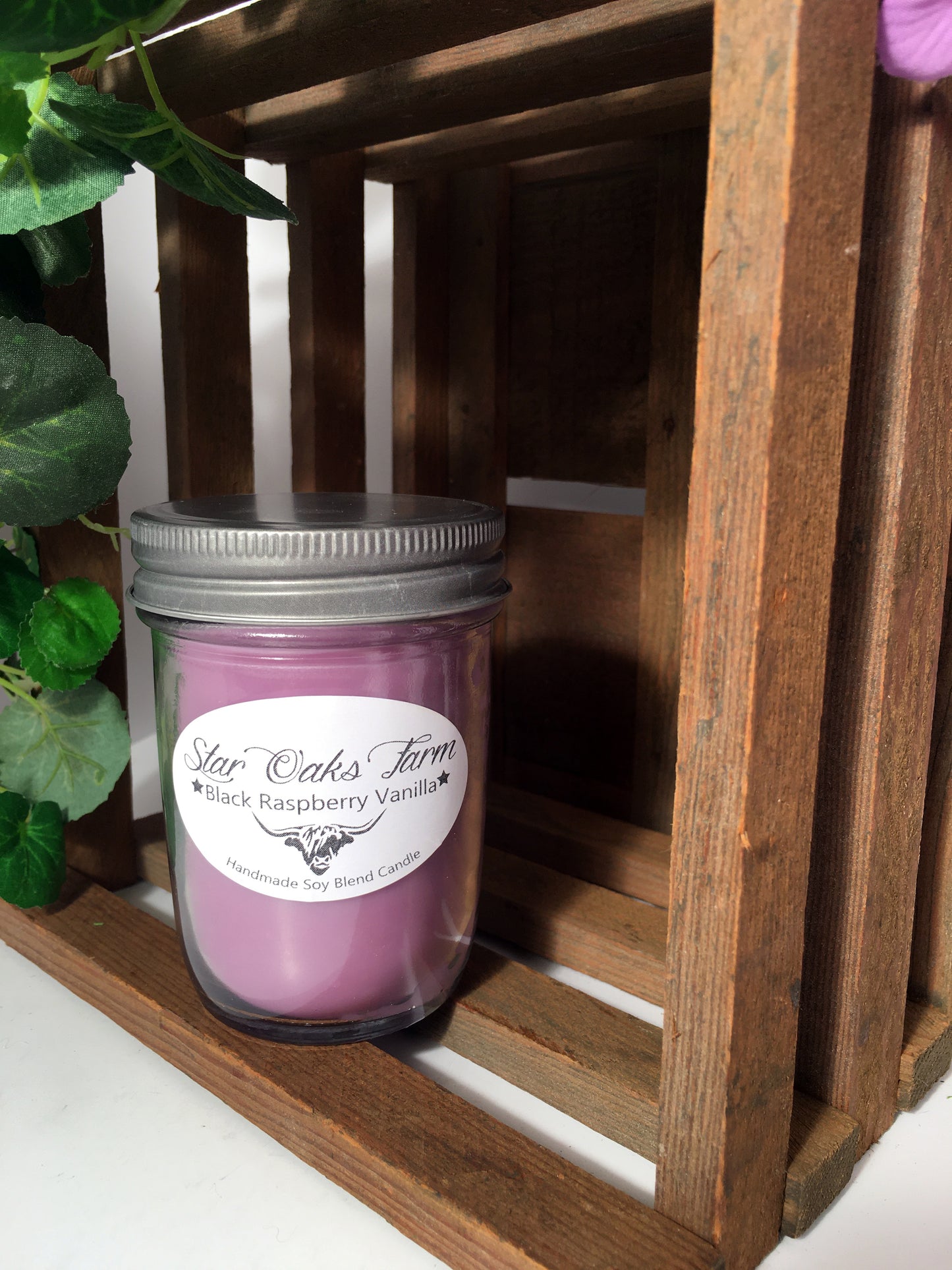 Black Raspberry Vanilla Soy Blend Candle