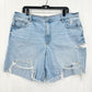 American Eagle Shorts 20 90s Boyfriend Bermuda Blue Denim Distressed Grunge