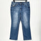 Earl Jeans Womens 18W Slim Bootcut Blue Denim Rhinestones Embroidered Western