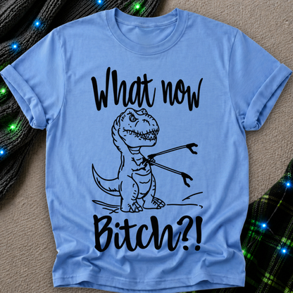 A light blue crewneck t-shirt featuring a black line art graphic of a T-Rex holding a fork, with the text 'What now Bitch?!' printed in a black handwritten font. The t-shirt is laid flat on a textured beige surface with decorative green and black knit fabric and blue fairy lights in the corners.