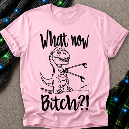 A light pink short-sleeve t-shirt with a black graphic of a cartoon T-Rex holding a fork, with the text 'What now Bitch?!' printed on the front. The shirt is laid flat on a textured gray surface with decorative black and green plaid fabric and blue string lights in the corners.
