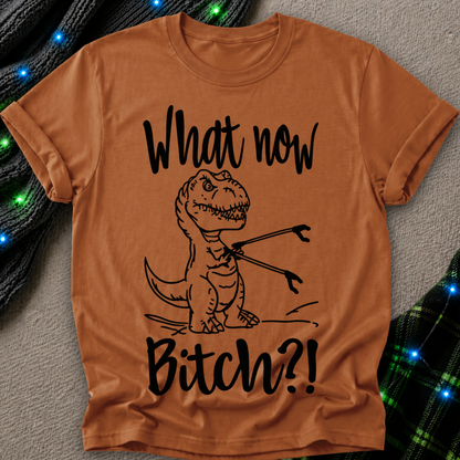 A rust-orange short-sleeve t-shirt with a black graphic of a T-Rex holding a fork and the text 'What now Bitch?!' printed on the front, displayed flat against a textured gray background with decorative holiday lights.