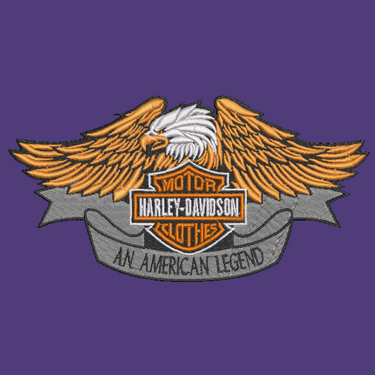 Harley Davidson Embroidered YOUTH Hoodie / Crewneck Sweatshirt Kids Boy Girl Unisex Eagle Biker Motorcycle