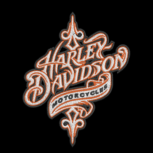 Harley Davidson HOODIE Embroidered Adult Unisex Hooded Sweatshirt Script Orange Thread Biker Motorcycle