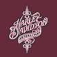 Harley Davidson Embroidered YOUTH Sweatshirt Kids Boy Girl Unisex Crewneck Biker Script Pink Thread