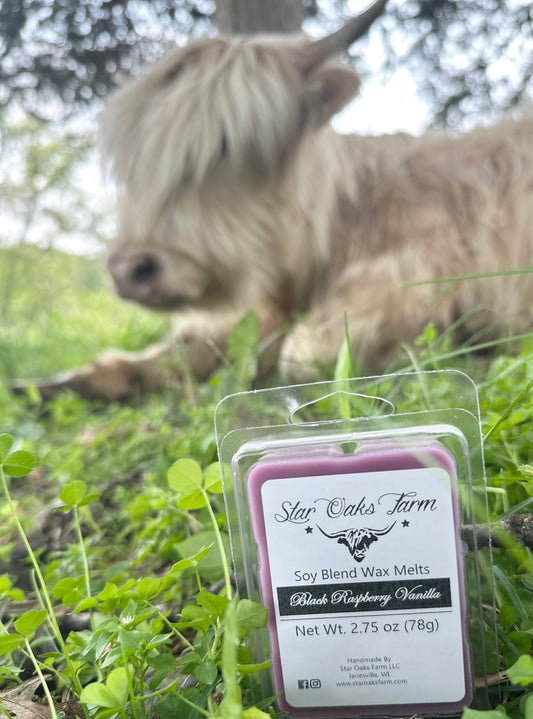 Black Raspberry Vanilla Wax Melts