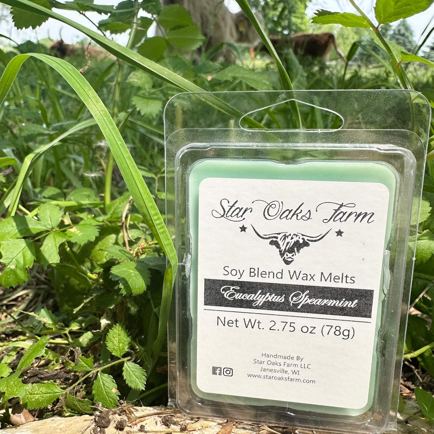 Eucalyptus & Spearmint Wax Melts