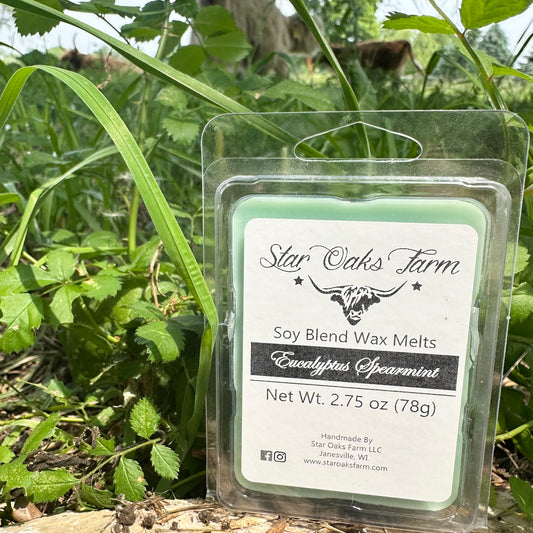 Eucalyptus & Spearmint Wax Melts