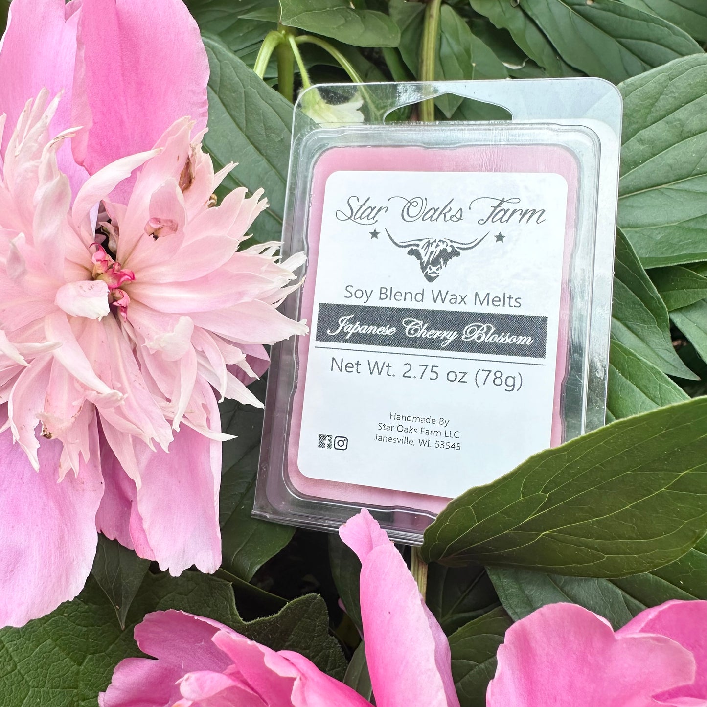 Japanese Cherry Blossom Wax Melts