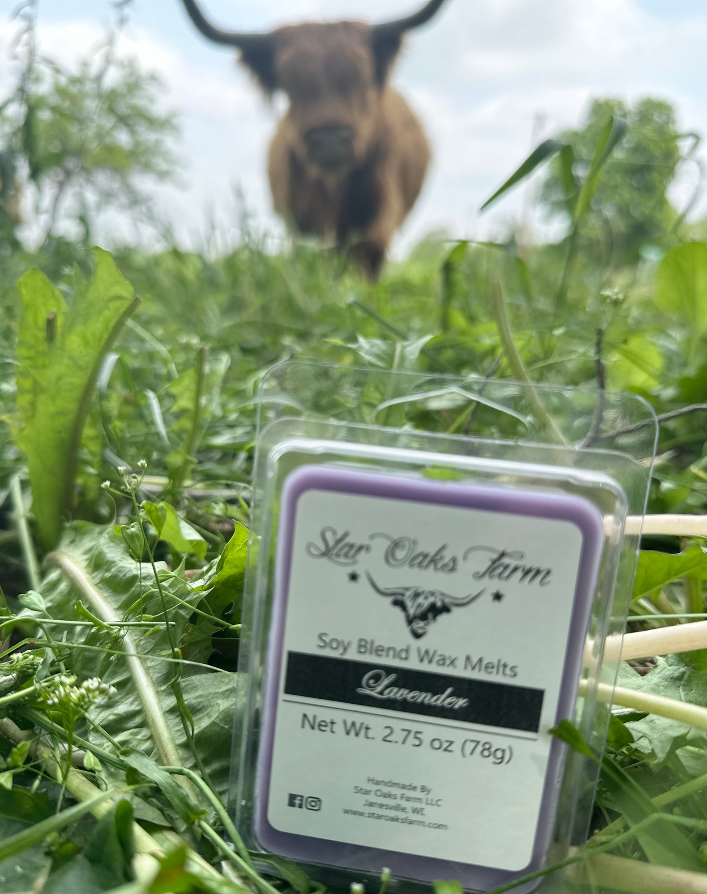Lavender Wax Melts