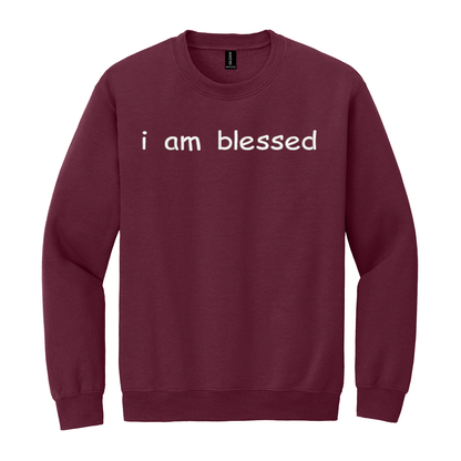 I Am Blessed Sweatshirt Embroidered ADULT Hoodie / Crewneck Sweatshirt Unisex Affirmation Positive Inspirational Gift