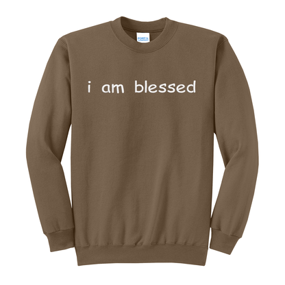 I Am Blessed Sweatshirt Embroidered ADULT Hoodie / Crewneck Sweatshirt Unisex Affirmation Positive Inspirational Gift