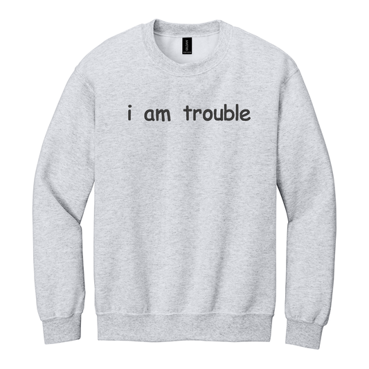 I Am Trouble Sweatshirt Embroidered ADULT Hoodie / Crewneck Sweatshirt Unisex Affirmation Gift