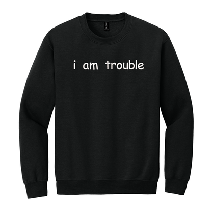 I Am Trouble Sweatshirt Embroidered ADULT Hoodie / Crewneck Sweatshirt Unisex Affirmation Gift