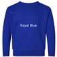 Nike Bluey Embroidered TODDLER Crewneck Sweatshirt