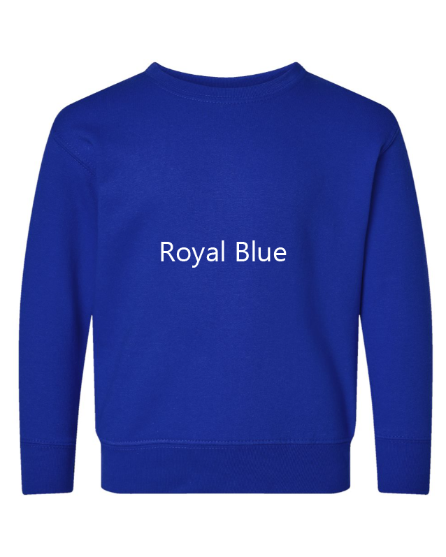Nike Bluey Embroidered TODDLER Crewneck Sweatshirt