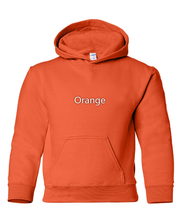 Nike Pokemon Charizard Embroidered YOUTH Hoodie / Crewneck Sweatshirt Kids Boy Girl Unisex